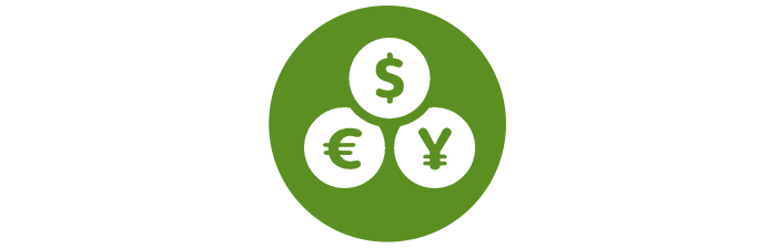 finance icon